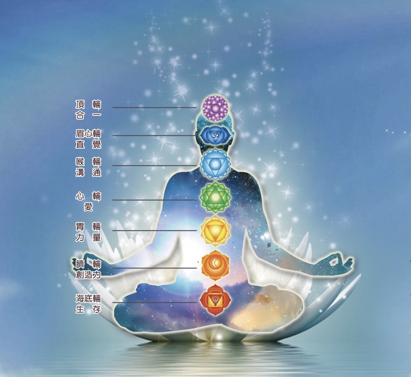 Ayurveda 七輪氣卦